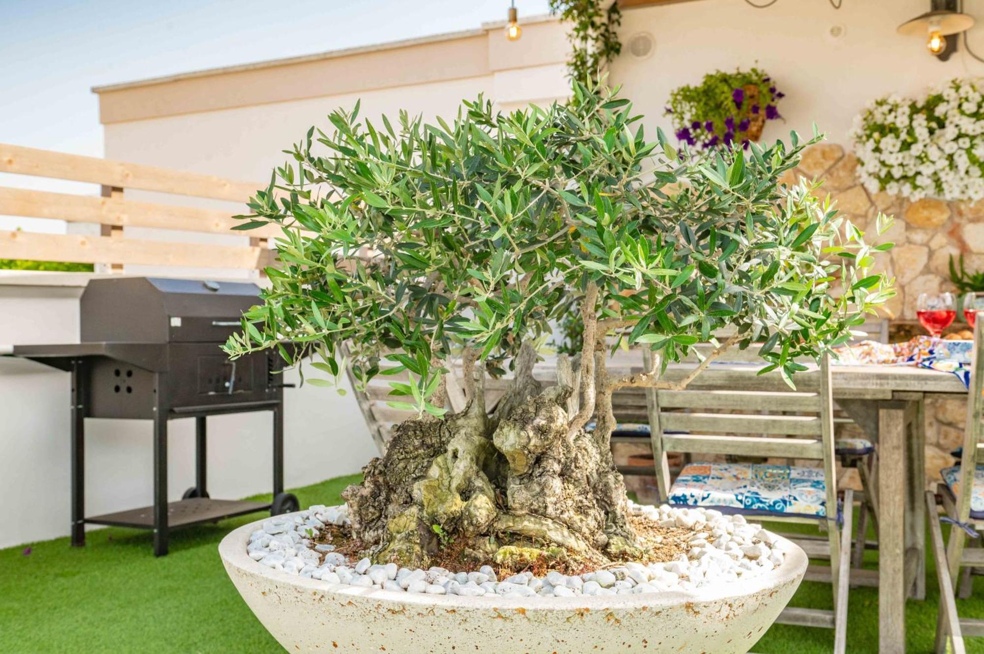 Il Panoramico Villa Neviano Dış mekan fotoğraf